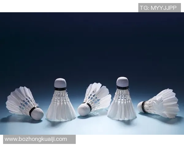 全面解析羽毛球训练器材的种类与选择技巧助你提升竞技水平